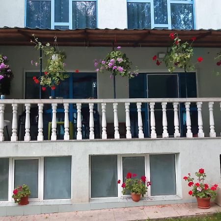 Casa Albastra Hotell Drumu Carului Exteriör bild