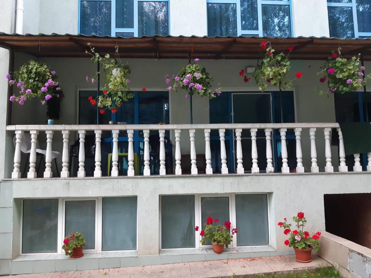 Casa Albastra Hotell Drumu Carului Exteriör bild