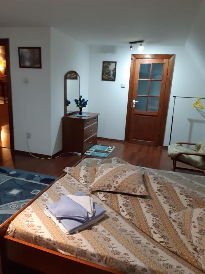 Casa Albastra Hotell Drumu Carului Exteriör bild