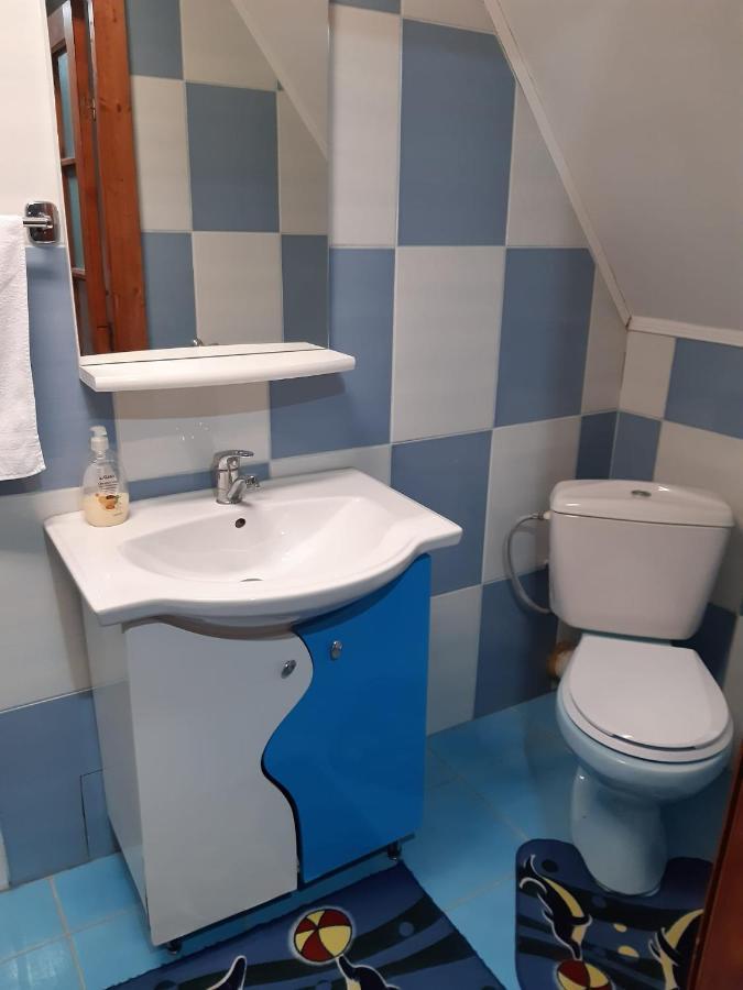 Casa Albastra Hotell Drumu Carului Exteriör bild