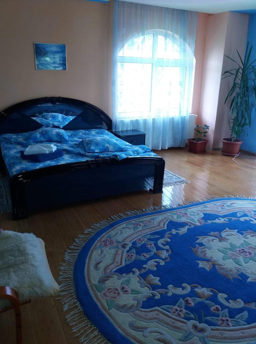 Casa Albastra Hotell Drumu Carului Rum bild